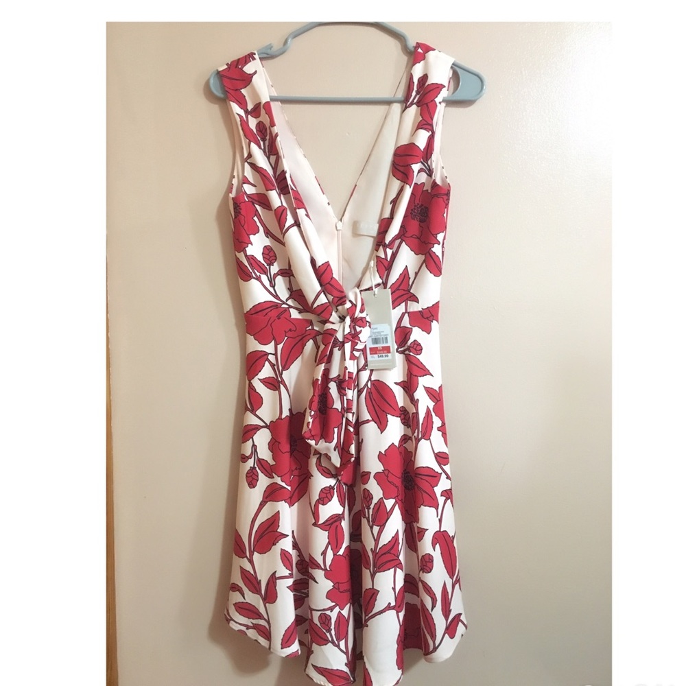 Keepsake Mini Dress-Light Pink with Red Flowers
